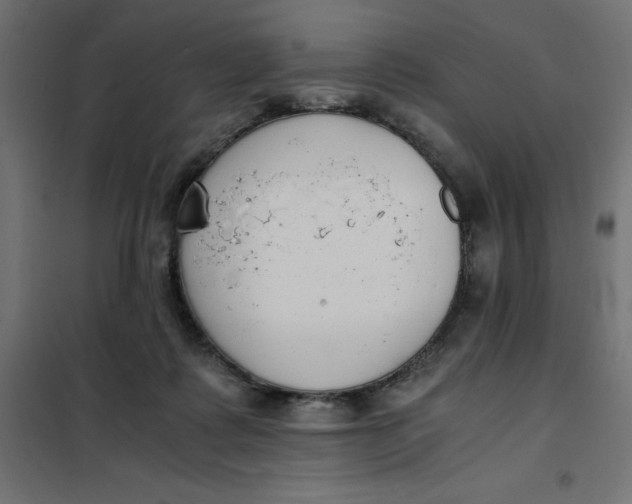 X0000101410315200807281031