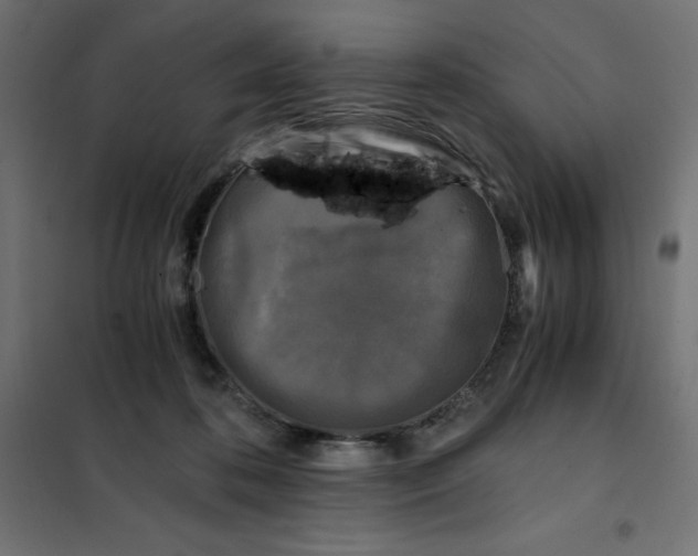 X0000101410316200807281031