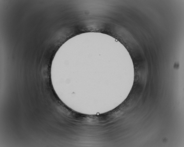 X0000101410317200807281031