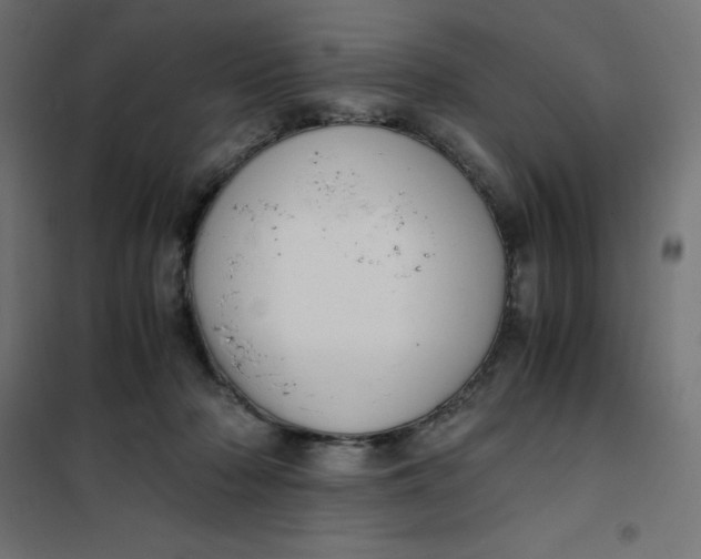 X0000101410318200807281031