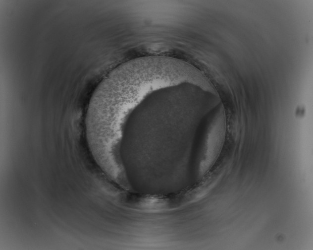 X0000101410319200807281031