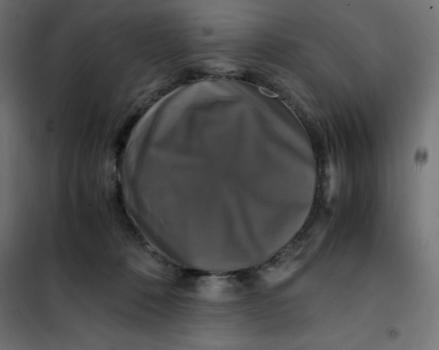 X0000101410320200807281031