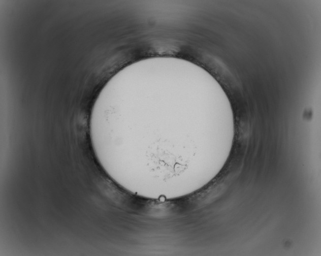 X0000101410321200807281031