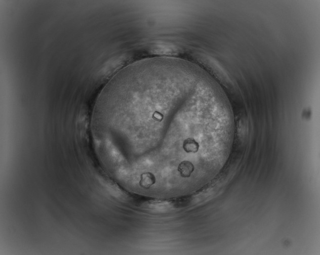 X0000101410322200807281031