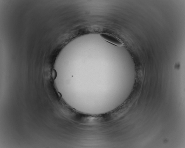 X0000101410323200807281031