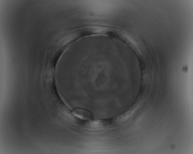 X0000101410325200807281031