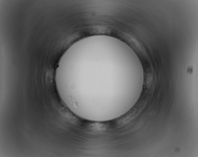 X0000101410326200807281031