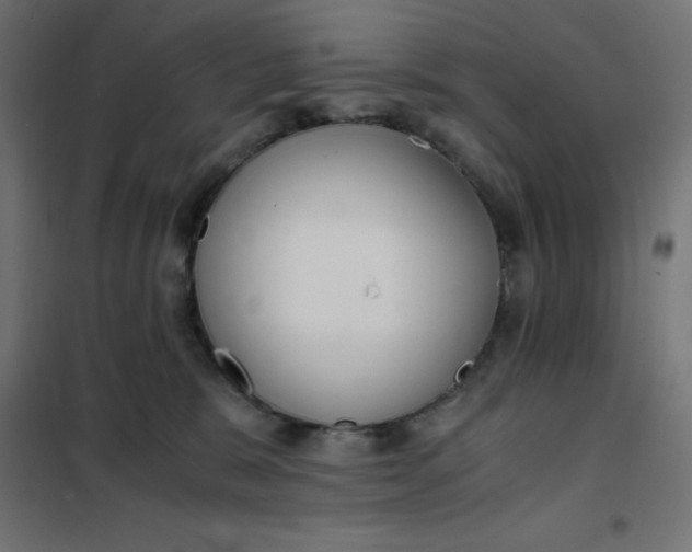 X0000101410327200807281031