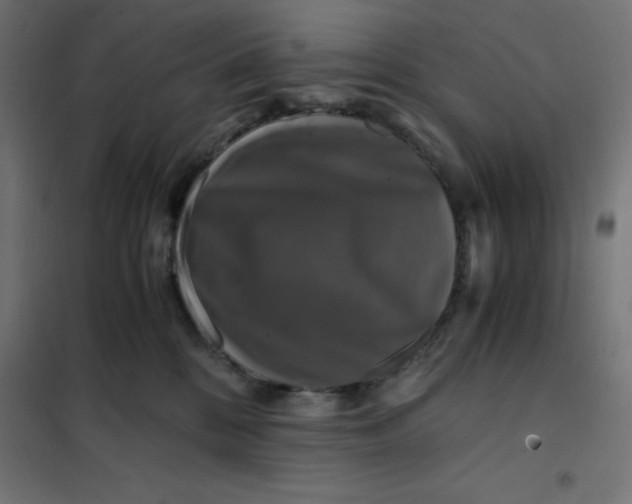 X0000101410328200807281031