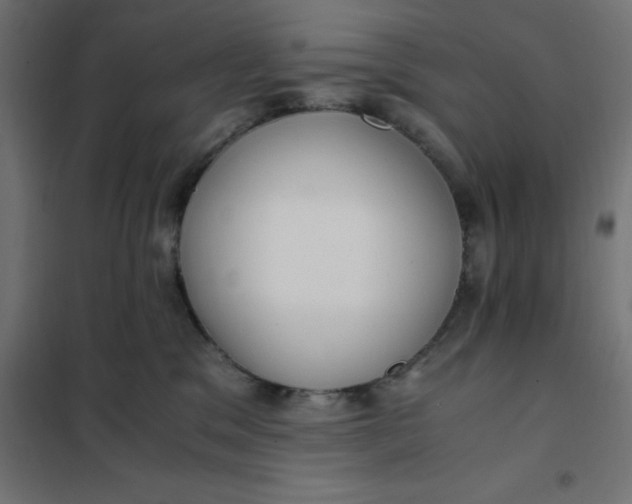 X0000101410329200807281031
