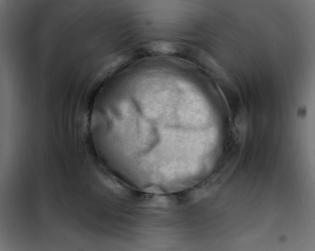 X0000101410330200807281031