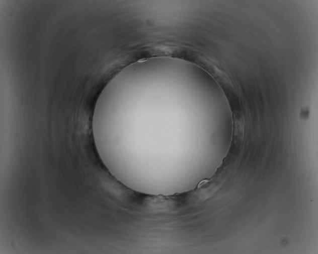 X0000101410331200807281031