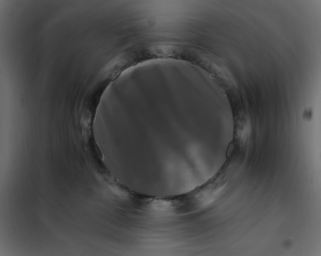 X0000101410332200807281031
