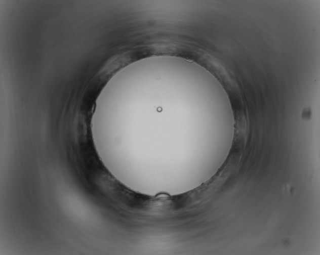 X0000101410333200807281031