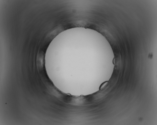 X0000101410334200807281031