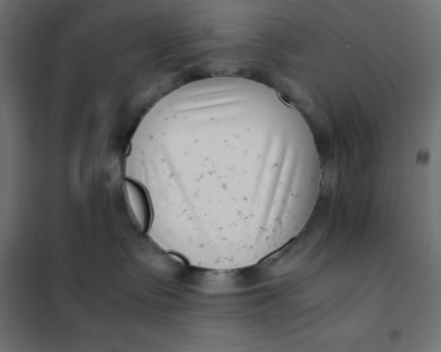 X0000101410335200807281031