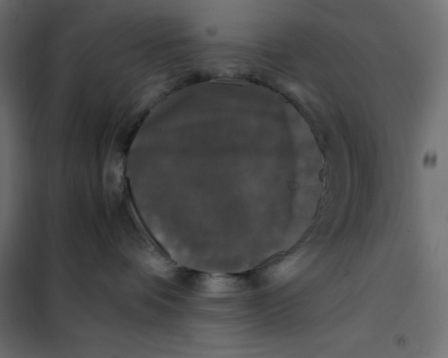 X0000101410336200807281031