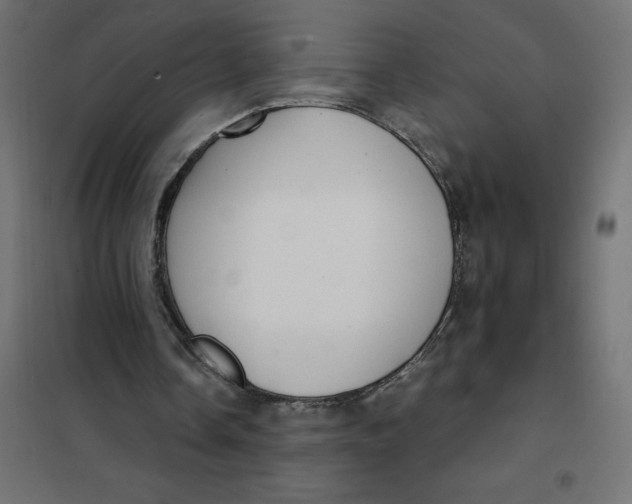 X0000101410338200807281030