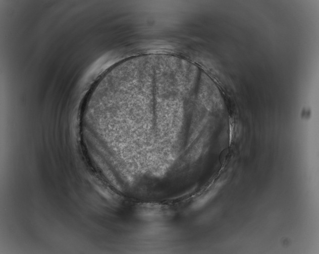 X0000101410339200807281030