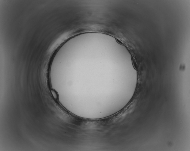X0000101410341200807281030