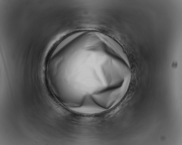X0000101410342200807281030