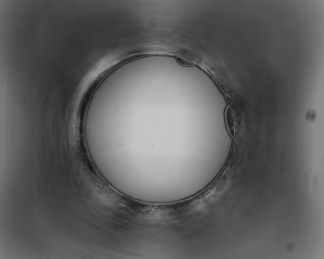 X0000101410343200807281030