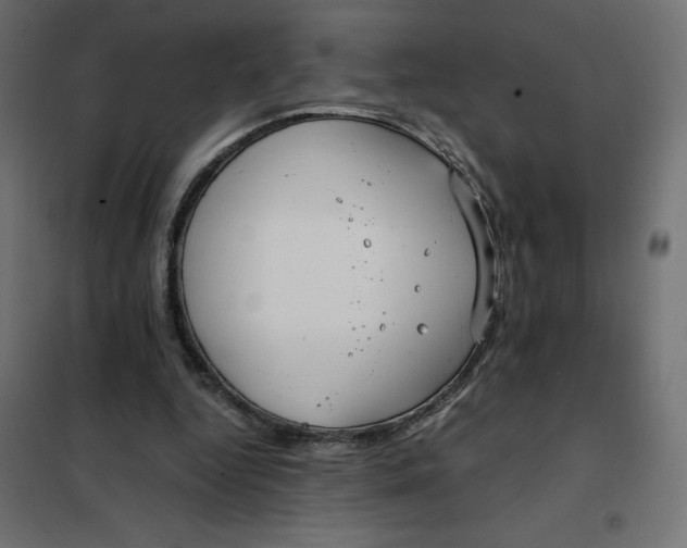 X0000101410344200807281030