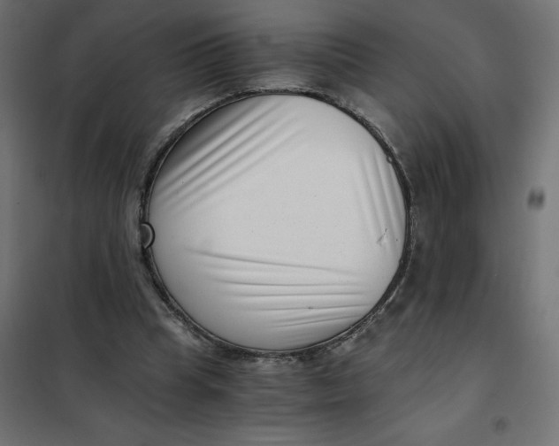 X0000101410345200807281030