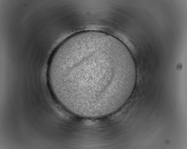 X0000101410346200807281030