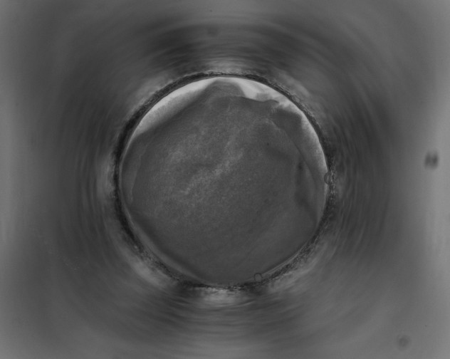 X0000101410347200807281030