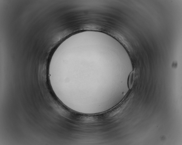 X0000101410349200807281031