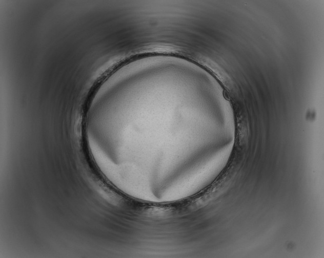 X0000101410350200807281031