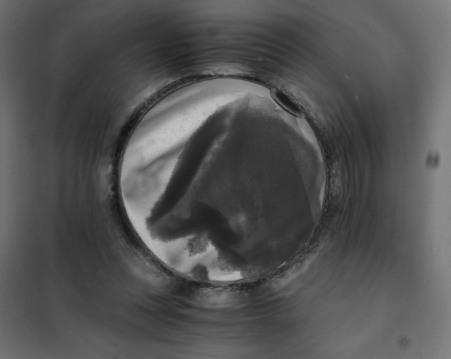 X0000101410351200807281031