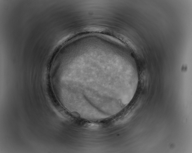 X0000101410352200807281031