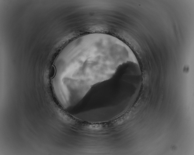 X0000101410353200807281031