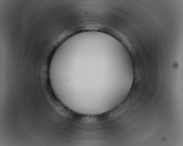 X0000101410354200807281031