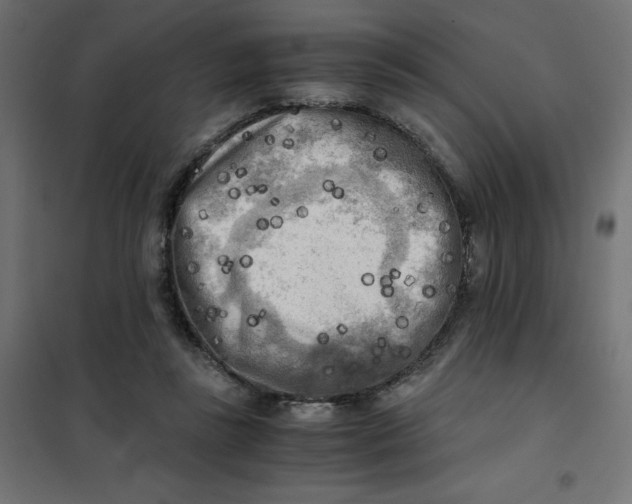 X0000101410355200807281031