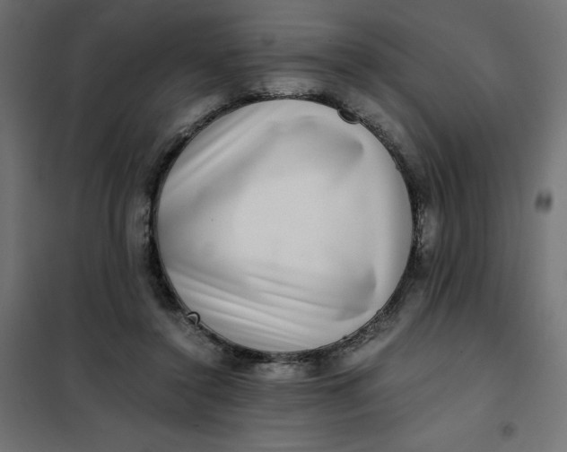 X0000101410356200807281031