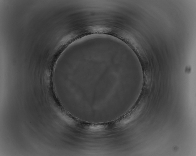 X0000101410357200807281031