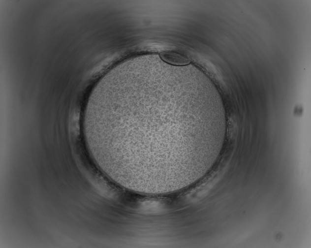 X0000101410358200807281031