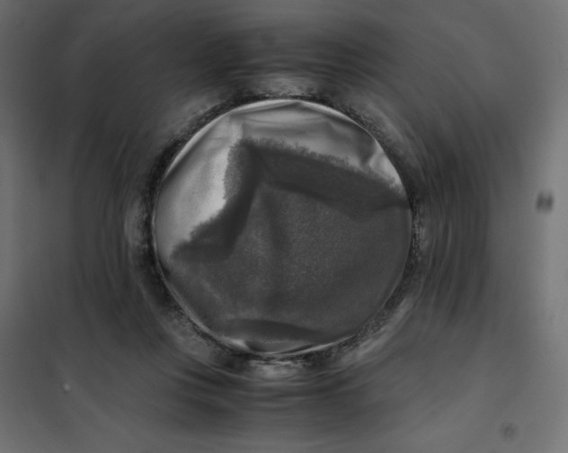 X0000101410359200807281031