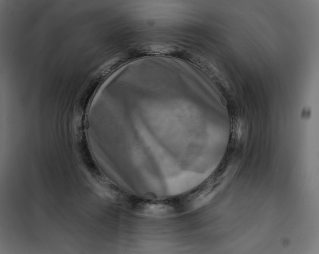 X0000101410360200807281031