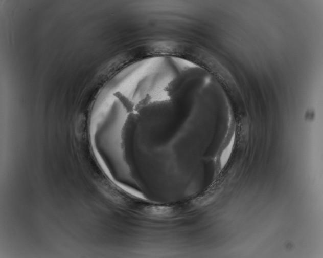 X0000101410361200807281031