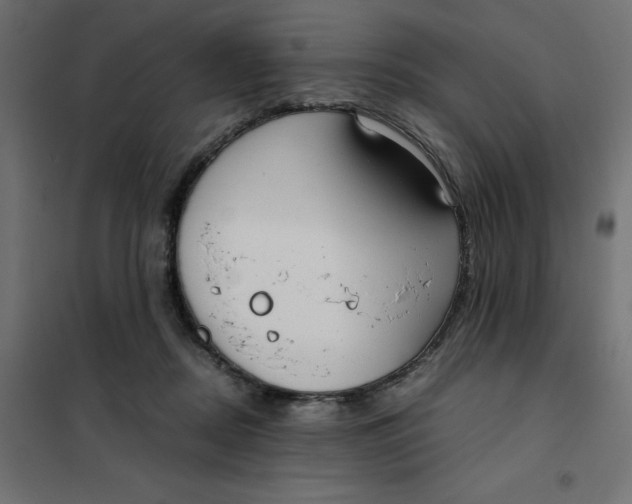X0000101410362200807281031