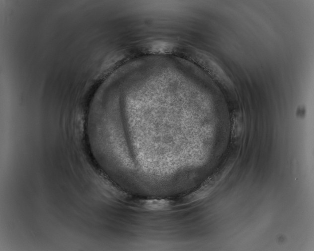 X0000101410363200807281031