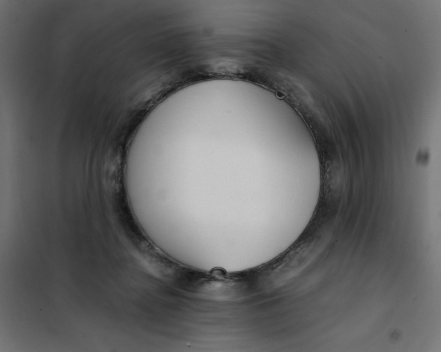 X0000101410364200807281031