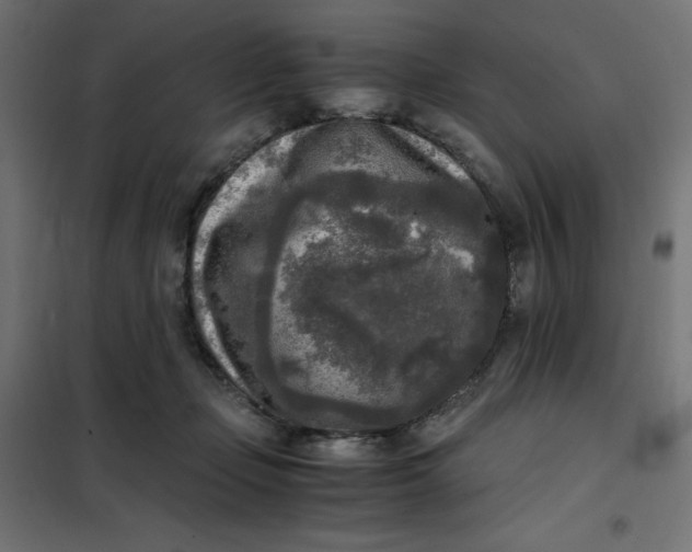 X0000101410365200807281031
