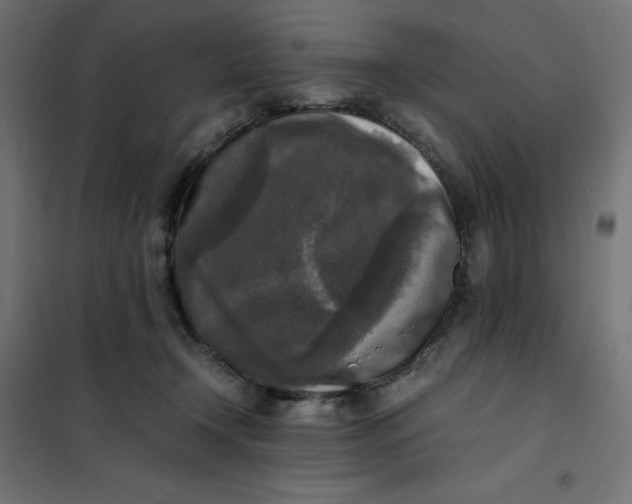 X0000101410366200807281031
