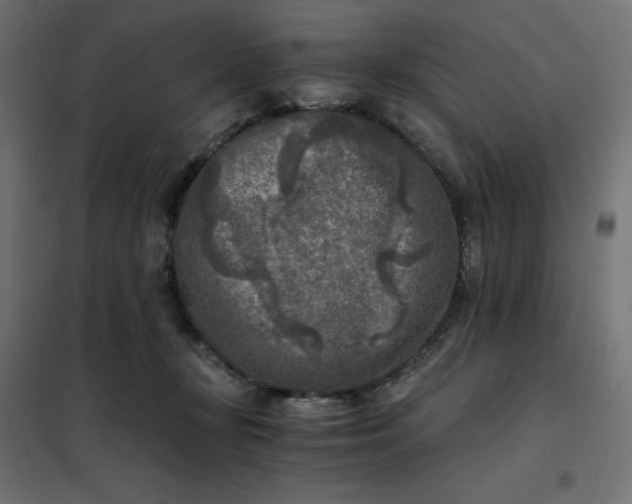 X0000101410367200807281031
