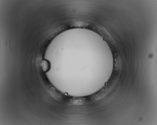 X0000101410368200807281031